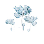 Three translucent blue flowers with delicate petals on white background, digital botanical art